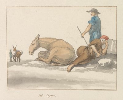 Costumes de l