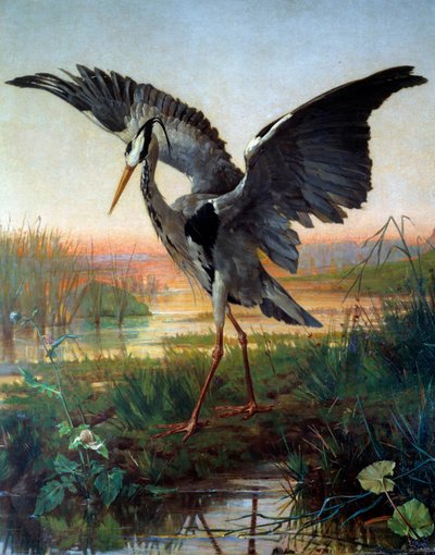 Le héron. Illustration pour la fable « Le héron et l