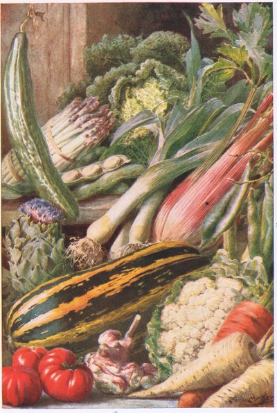 Légumes de Jardin, illustration de 