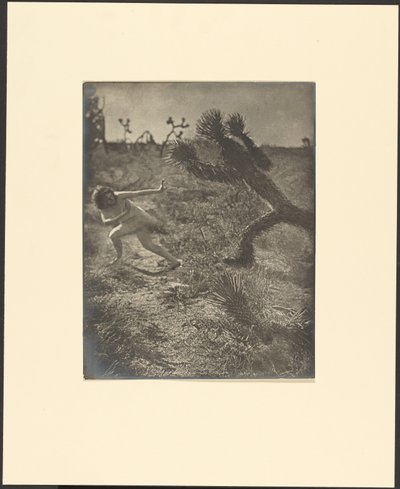 Bogey Man du désert - Louis Fleckenstein