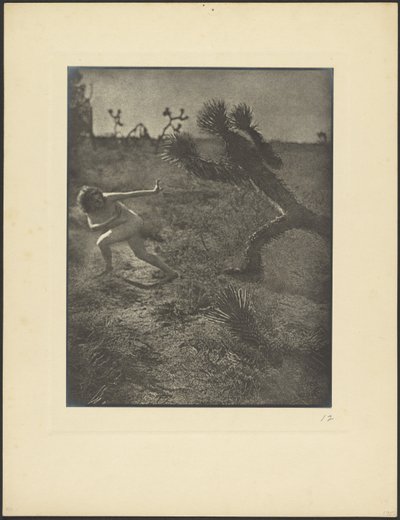 Bogey Man du désert - Louis Fleckenstein