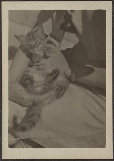 [Chat] - Louis Fleckenstein
