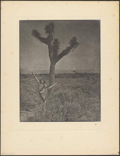 [Danseuse à Joshua Tree] - Louis Fleckenstein