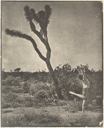  - Louis Fleckenstein