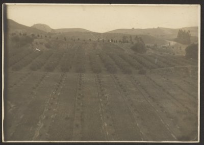 [Paysage agricole] - Louis Fleckenstein