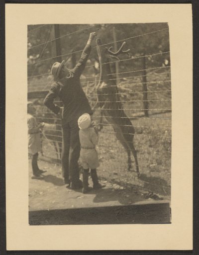 [Nourrir les cerfs] - Louis Fleckenstein