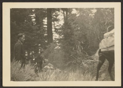 [Figures dans un paysage boisé] - Louis Fleckenstein