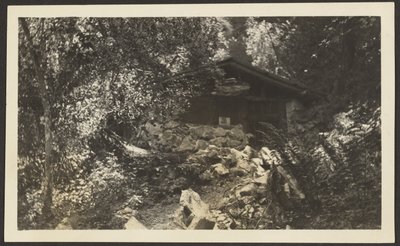 [Forest Lodge] - Louis Fleckenstein