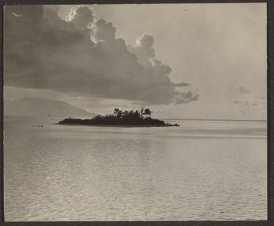 [Paysage insulaire] - Louis Fleckenstein