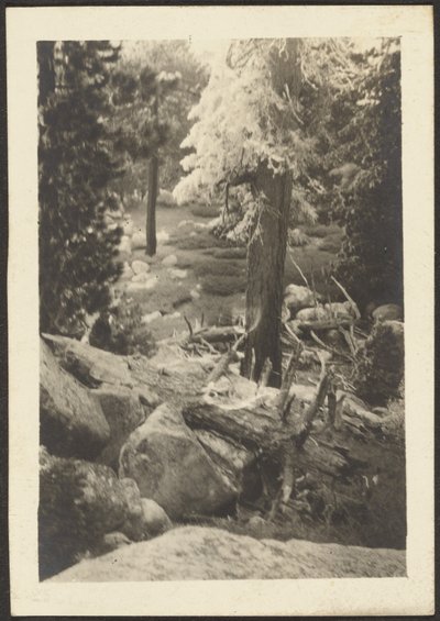 [Paysage] - Louis Fleckenstein