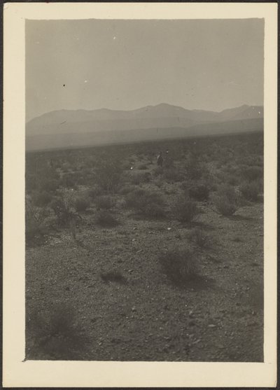 [Paysage] - Louis Fleckenstein
