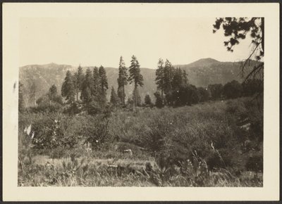 [Paysage] - Louis Fleckenstein
