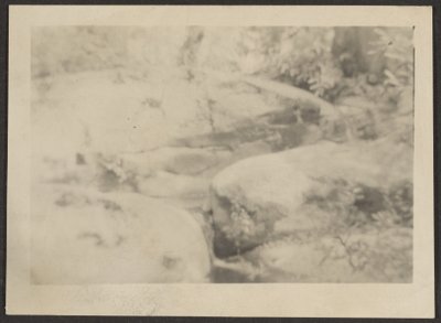 [Paysage] - Louis Fleckenstein