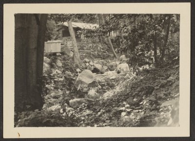 [Paysage] - Louis Fleckenstein