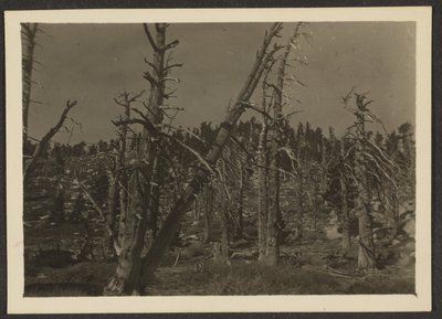 [Paysage] - Louis Fleckenstein