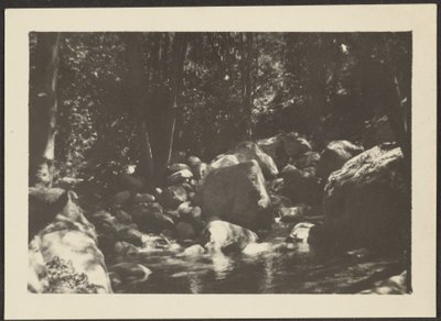 [Paysage] - Louis Fleckenstein