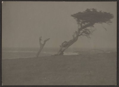 [Paysage] - Louis Fleckenstein