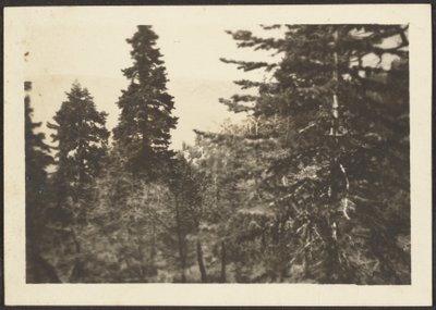 [Paysage] - Louis Fleckenstein