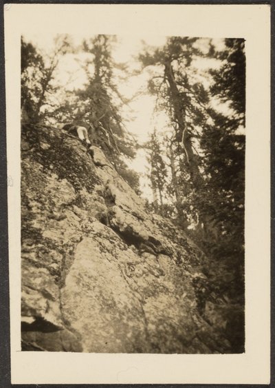 [Paysage] - Louis Fleckenstein