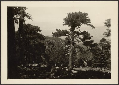 [Paysage] - Louis Fleckenstein