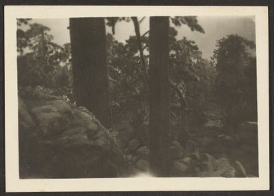 [Paysage] - Louis Fleckenstein