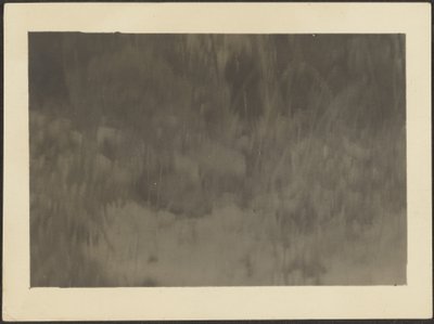 [Paysage] - Louis Fleckenstein