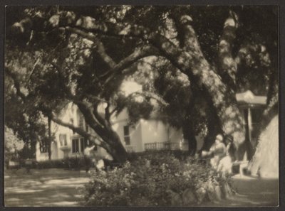 [Paysage] - Louis Fleckenstein