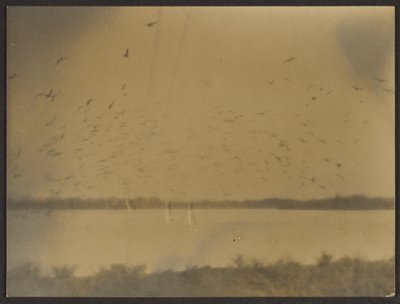 [Paysage avec oiseaux] - Louis Fleckenstein