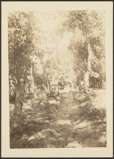 [Paysage avec cerfs sauvages] - Louis Fleckenstein