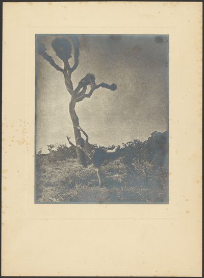 Souple et gracieux - Joshua le danseur - Louis Fleckenstein