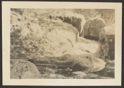 [Paysage rocheux] - Louis Fleckenstein