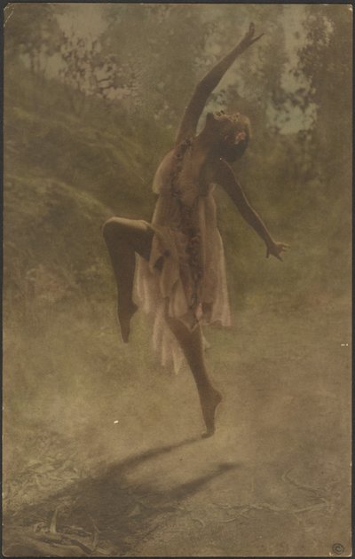 Danse des roses du Sud - Louis Fleckenstein