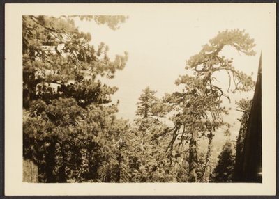 [Santa Rosa Peak] - Louis Fleckenstein
