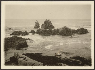 [Paysage marin] - Louis Fleckenstein