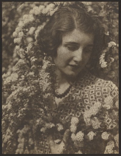 Spirea - Louis Fleckenstein