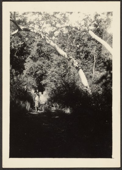 [Femme sur un sentier dans les bois] - Louis Fleckenstein