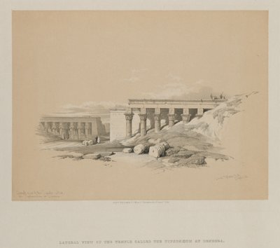 Égypte et Nubie, Volume II : Vue latérale du temple appelé Le Typhonoeum à Dendera, 1848 - Louis Haghe