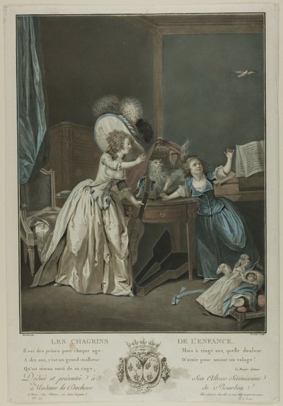 Les Chagrins de l