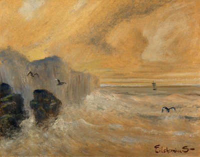 Bord de mer rocheux - Louis M. Eilshemius