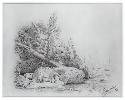 Arbre tombé, Keene Valley, 25 juillet 1883 - Louis Michel Eilshemius