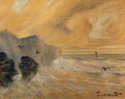 Rivage rocheux, fin du 19e-début du 20e siècle - Louis Michel Eilshemius
