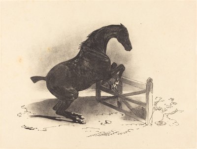 Cheval sautant une barrière - Louis Pierre Marie Courtin after Théodore Gericault
