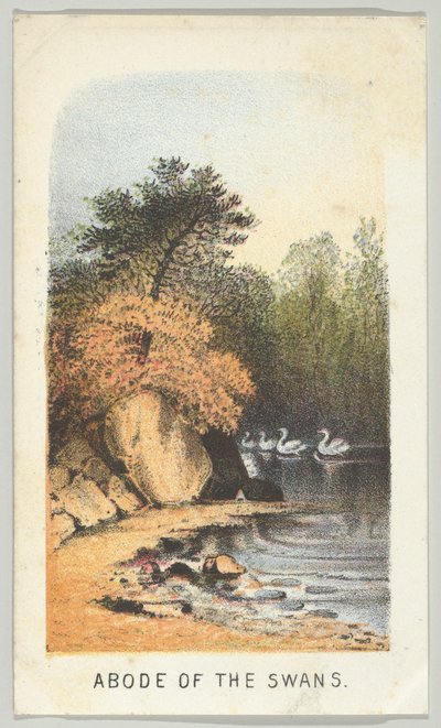 Demeure des cygnes, de la série, Vues de Central Park, New York, Partie 2 - Louis Prang