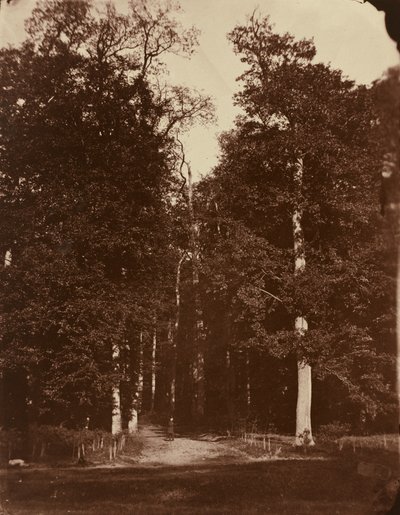 Forêt à Saint-Cloud - Louis Rémy Robert
