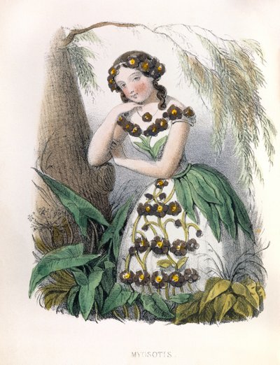  - Louis Simon (1810-1870) Lassalle