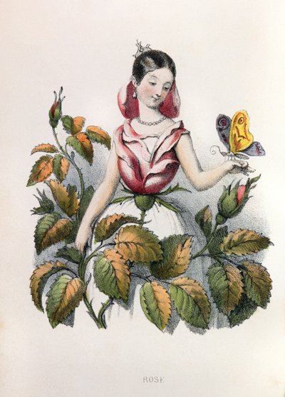  - Louis Simon (1810-1870) Lassalle