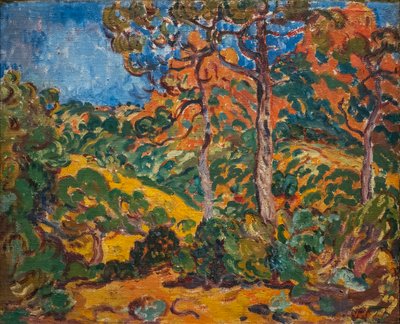 Lumière du soleil sous les arbres - Louis Valtat