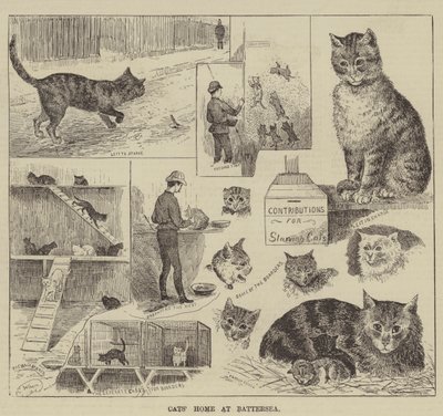 Maison des chats à Battersea - Louis Wain