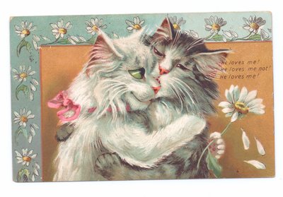 Carte postale édouardienne de deux chats s