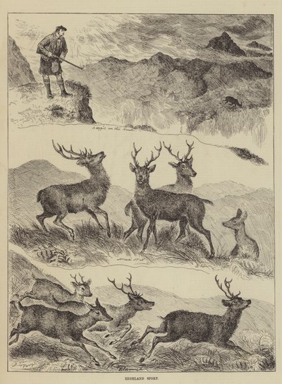 Sport des Highlands - Louis Wain